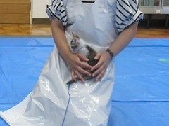 写真:子猫が膝上で抱かれている様子