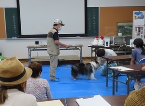 写真:犬と触れ合う体験学習の様子