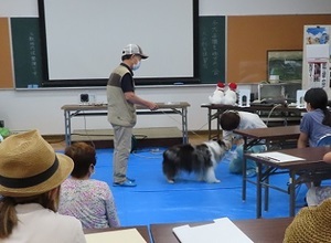 写真：犬と触れ合う体験学習の様子