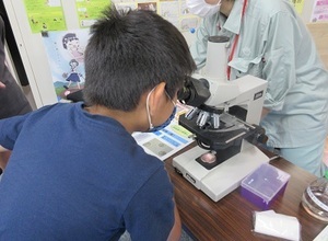写真：顕微鏡をのぞき込む少年
