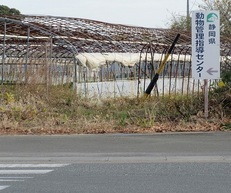 写真：案内板のある交差点近め