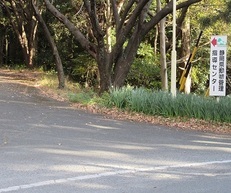 写真：北方面の道路から近くで見た案内板の場所