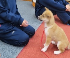 写真：犬との対面