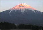 富士山写真