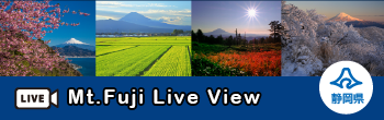 Mt.Fuji Live View