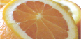 Photo：Tangerines