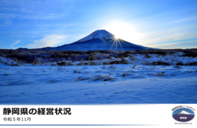 写真：静岡県のIR資料表紙