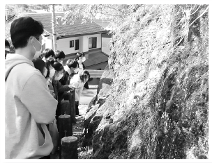 写真:伊豆半島ジオパーク見学
