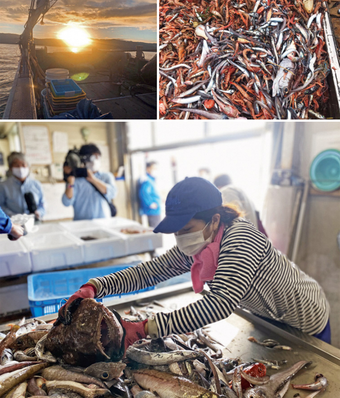 写真：ヘンテコ深海魚便