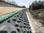 写真：テトラック法尻ブロック