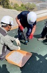 写真：客土・肥料無し植栽基盤工法