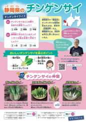 チラシ写真:チンゲンサイ