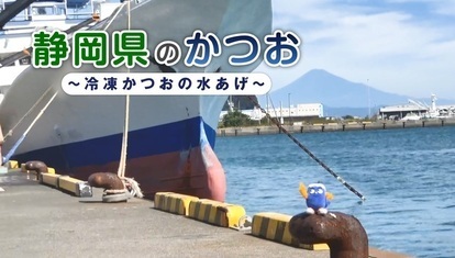 サムネイル画像：静岡県のかつお　冷凍かつおの水あげ