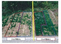 写真：フルボ酸入り植生マット工法の様子