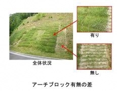 写真：アーチブロック
