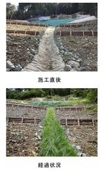 写真：グリーンフリューム