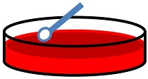 イラスト：塗抹