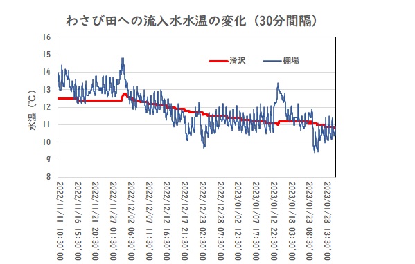 2022年11月から2023年1月までの水温のグラフ