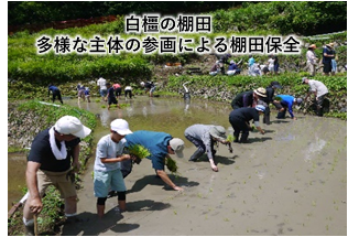 写真:多様な主体の参画による棚田保全