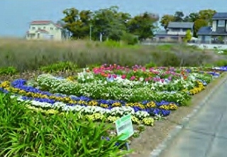 春の花で円を幾重にも重ねたデザイン