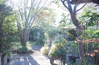 全景写真