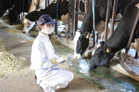 写真：和田みなみ2