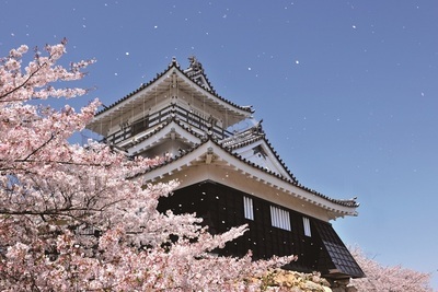写真:文化観光委員会