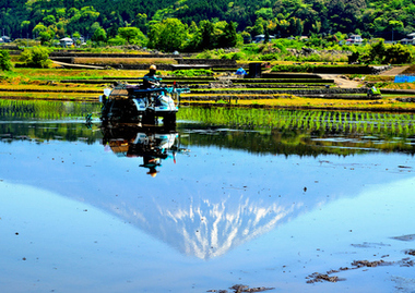 写真：春の部3