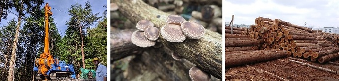 写真資源利用科