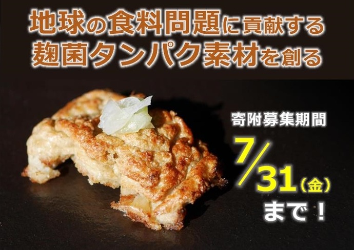 地球の食料問題に貢献する麹菌タンパク素材を創る