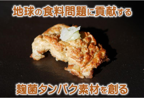 地球の食料問題に貢献する麹菌タンパク素材を創る