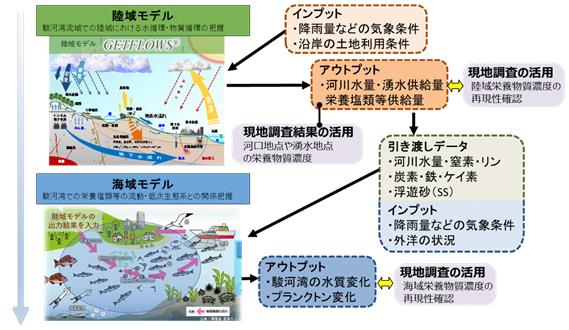陸域モデルと海域モデルの関係図