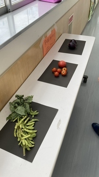 枝豆、トマト、ナスを廊下に展示
