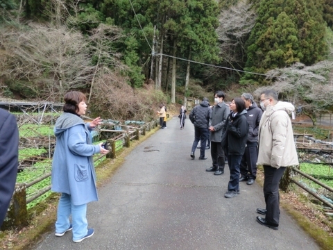 わさび生産ほ場視察の様子