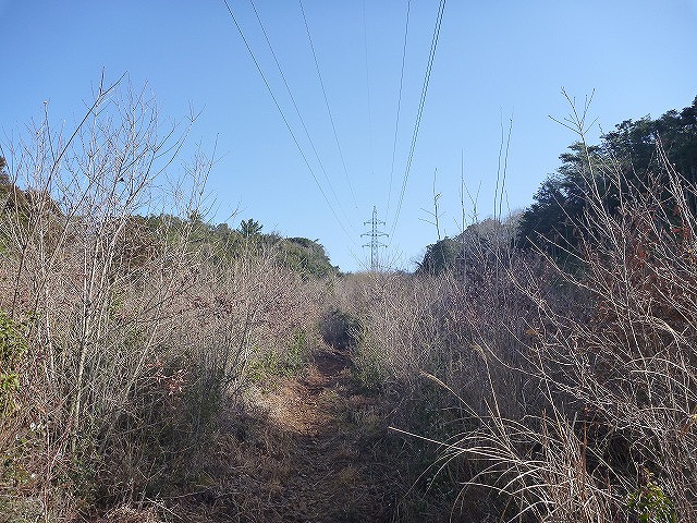 送電線の道