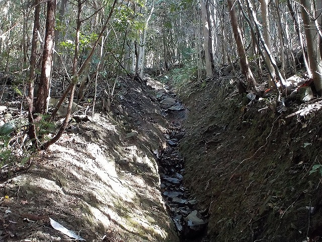 五郎八山