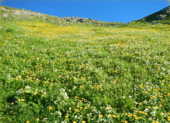 懸念2 生物多様性への影響