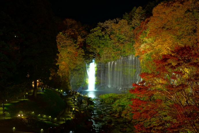 写真：秋の部特選「白糸の滝ライトアップ」