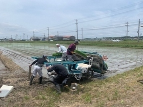 中遠地域の大規模経営体