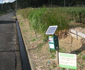 電気柵