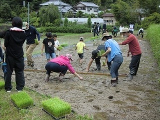 棚田交流