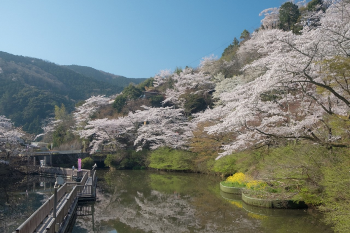 奥山公園