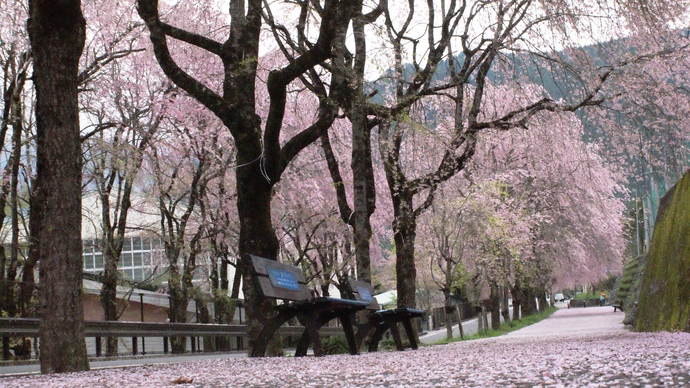 さくらの里徳山