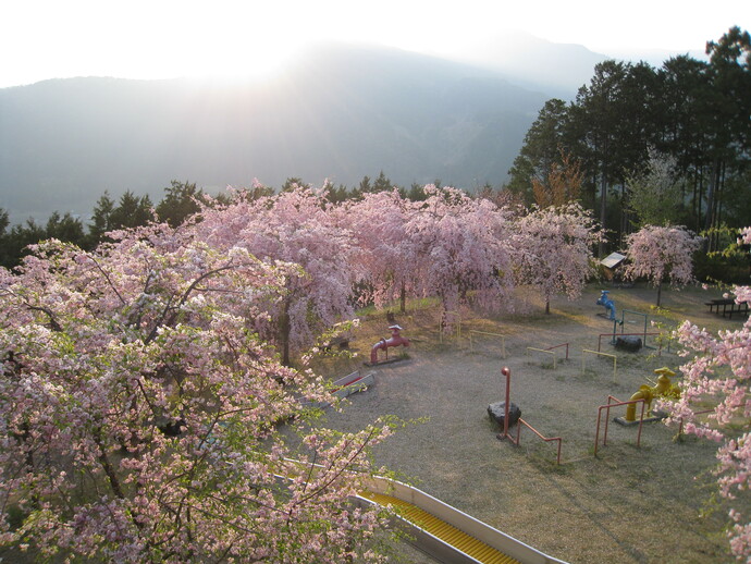 智者の丘公園