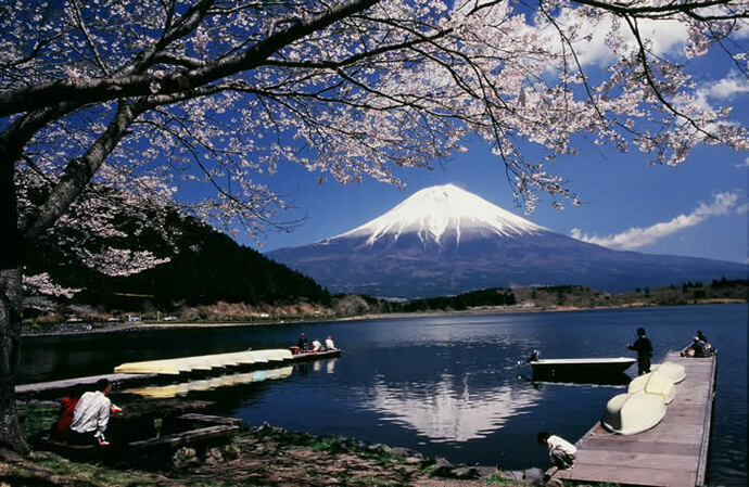 写真：湖の桜と富士山