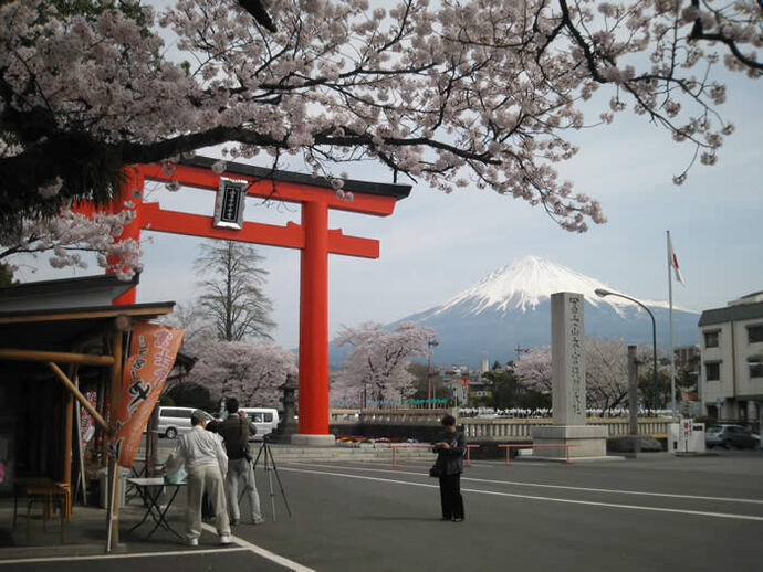写真：富士山と鳥居と桜