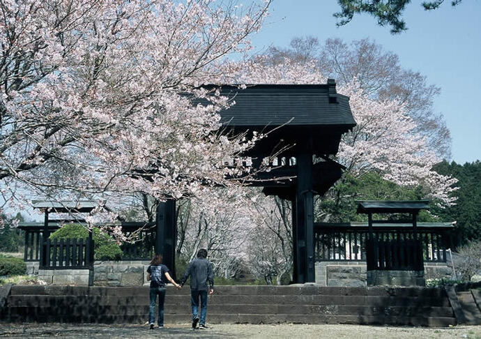 写真：黒門と桜