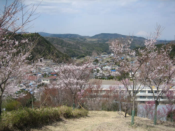 写真：桜と眼下に広がる郷の景色