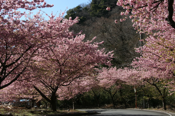 井田