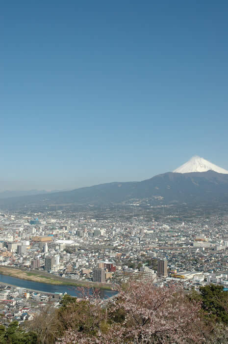 写真：富士山と眼下の街と桜